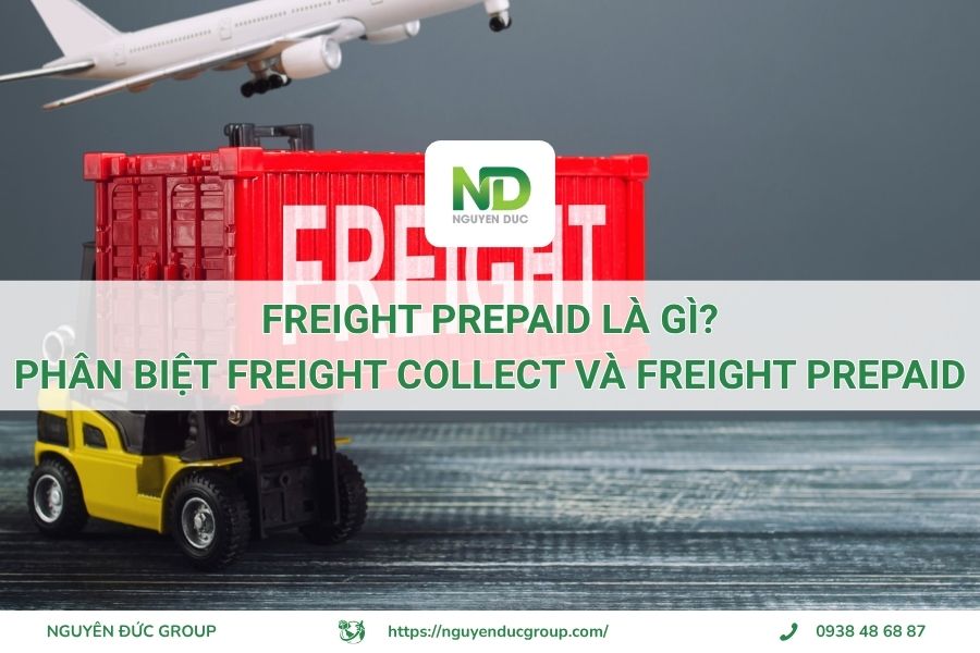 Freight Prepaid là gì? Phân biệt Freight Collect và Freight Prepaid